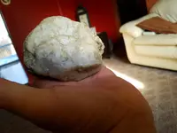 20170116_093628.webp