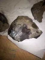 meteorite.webp