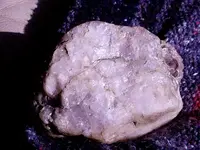 20170116_110616.webp
