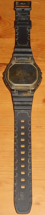 DSCN7339.webp