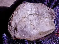 20170116_110507.webp