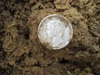 Mojave - Gold Coin - 6 Silver Dimes 009.webp