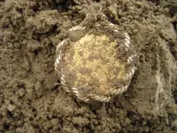 Mojave - Gold Coin - 6 Silver Dimes 019.webp