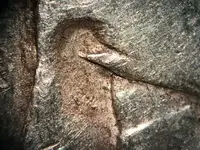 ImageUploadedByTreasureNet.com1485917980.598388.webp