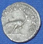 17 01 23 Faustina Sen Den Rev.webp