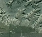 image.webp