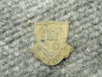 DSC09337.webp