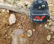 20170131_135229.webp 20170131_135229.webp