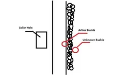 Buckles.webp