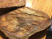 goldrock6.webp