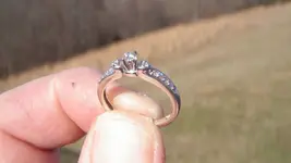 goldring1.webp