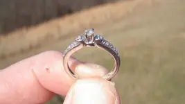 goldring2.webp