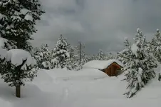 2 - 3 - 8 017_RT8.webp