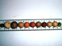Clay Marbles.webp