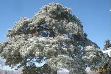 CIMG1642.webp
