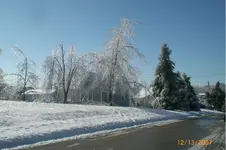 CIMG1644.webp