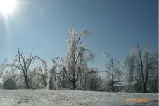 CIMG1646.webp