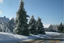 CIMG1649.webp