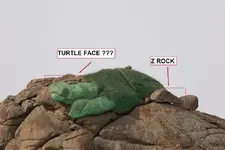 1--z-and-turtle.webp