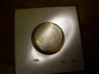 Shield Nickel 002.webp