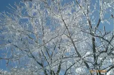 CIMG1656.webp