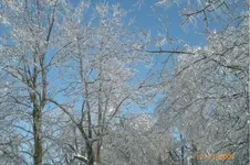 CIMG1657.webp