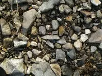 P3020433_resize_resize_resize_resize.webp