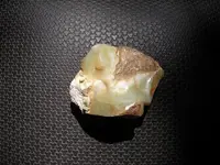 DSCN3774.webp