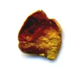 goldflake.webp