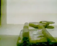 !_D_TEX001.webp