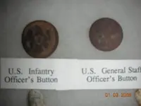 buttons.webp