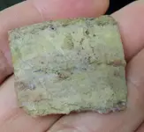 paleo.webp