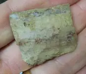 paleo2.webp