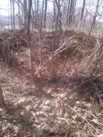 KIMG0351.webp