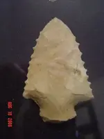 Teeth.webp