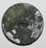 March 4 17 Lion Button back.webp