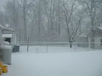 DSCF0010.webp