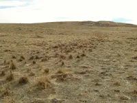 land mark 2.webp