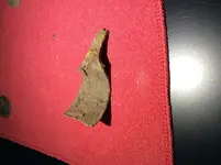 IMG_5601.webp IMG_5601.webp
