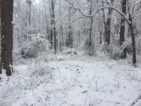 ImageUploadedByTreasureNet.com1489323078.744654.webp