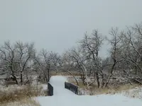 walk 011617 1.webp