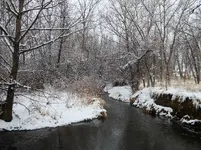 walk 011617 2.webp