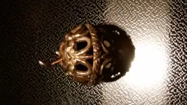 20170304_230550.webp