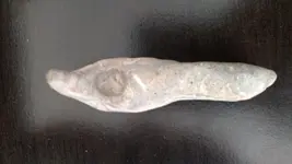511.jpg 511.jpg