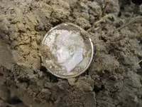 Mojave F75 Ring - 9 Silver Coins 007.webp