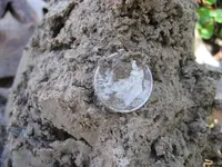 Mojave F75 Ring - 9 Silver Coins 009.webp