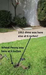 School & median strip 3-4-17 014.webp