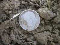 Mojave F75 Ring - 9 Silver Coins 015.webp