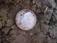 Mojave F75 Ring - 9 Silver Coins 021.webp