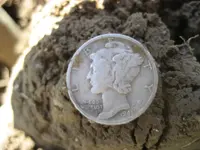 Mojave F75 Ring - 9 Silver Coins 032.webp